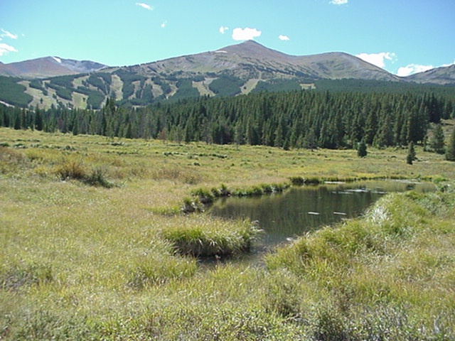 Cucumber Gulch Preserve