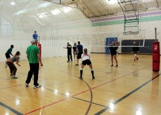 Adult Volleyball League