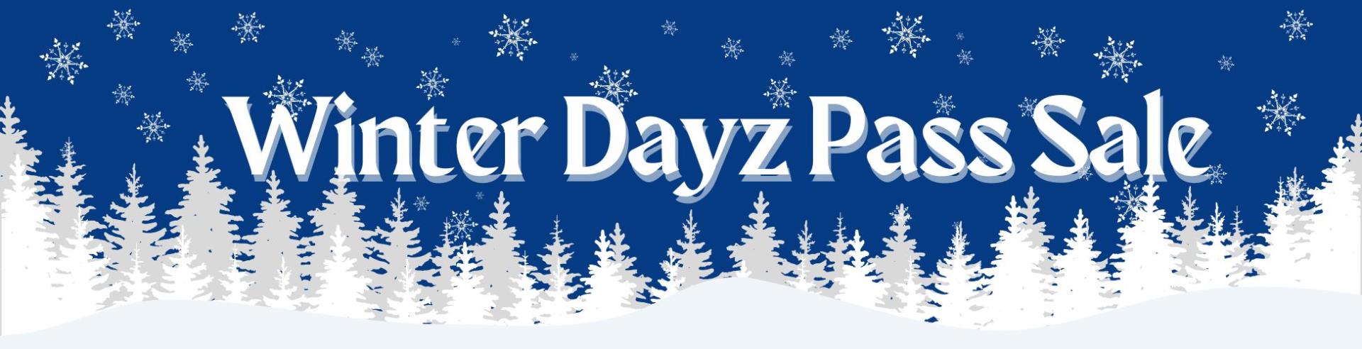 Text winter dayz pass sale on background of trees and snowflakes